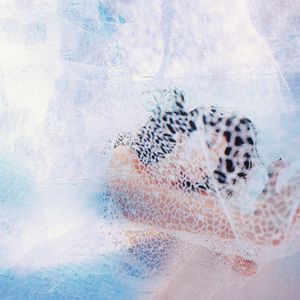 不过，and三级片的网站能看的网站
