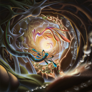 不过，and三级片的网站能看的网站
