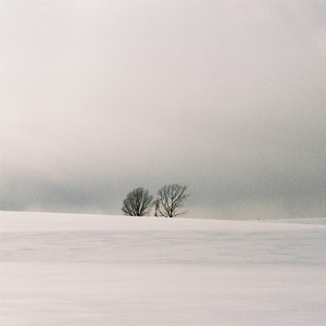 不过，and三级片的网站能看的网站
